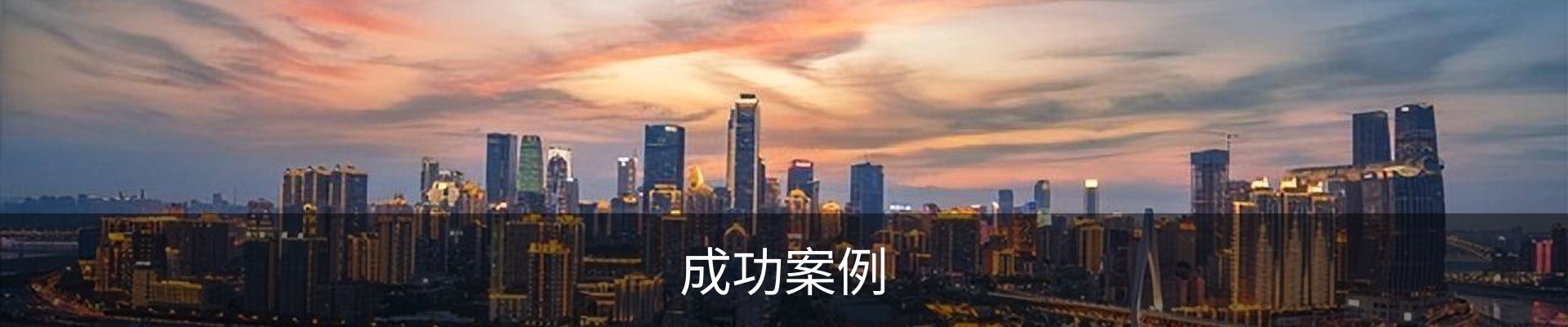 成功案例