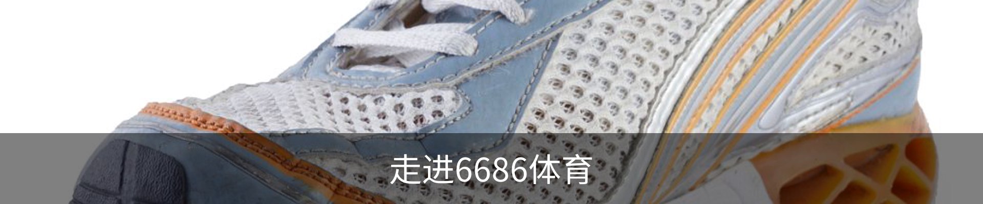 走进6686体育